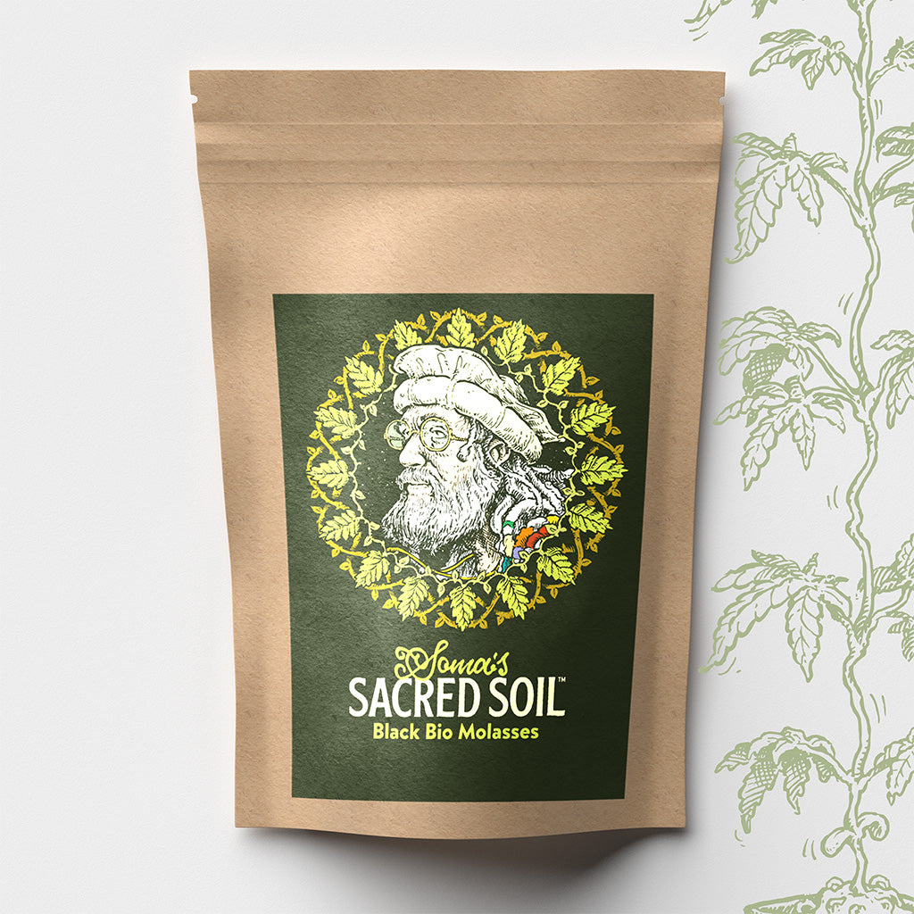 Soma's Sacred Dry Molasses – 500g